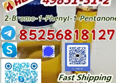 49851-31-2 2-bromo-1-phenyl-1-pentanone 2-bromovalerophenone Bk4 Liquid Fast Delivery