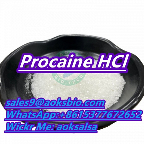 Buy procaine hcl powder cas 51-05-8 procaine hcl 