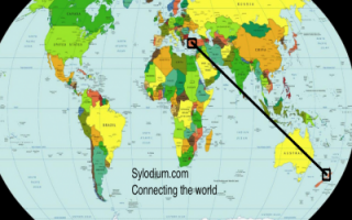 New Zealand-Turkey  (Sylodium, import export business)