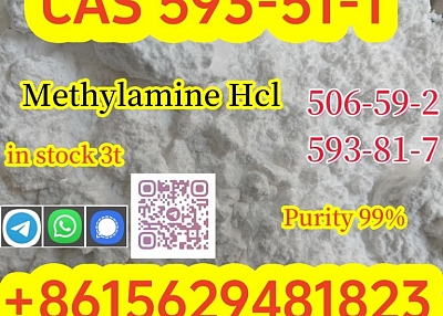 Buy High Quality CAS 593-51-1 Methylamine Hydrochloride at Best Price