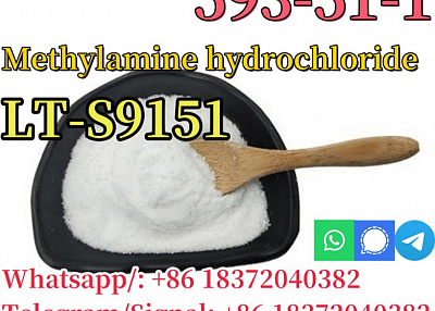 CAS 593-51-1 Methylamine hydrochloride LT-S9151 good price with high quality