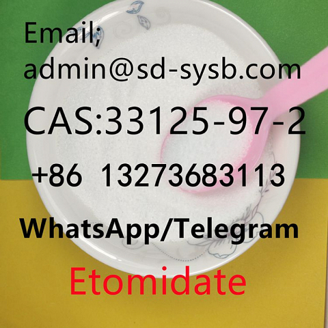  13 CAS:33125-97-2 Etomidate