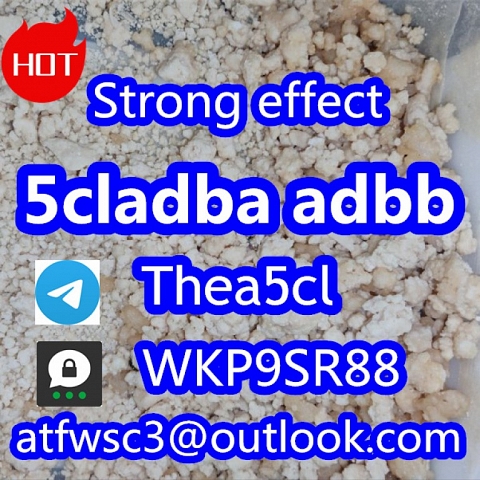 Cannabinoid 5CL-ADB powder 5cl-adb in stock 5cladb 5cladba 5fadb