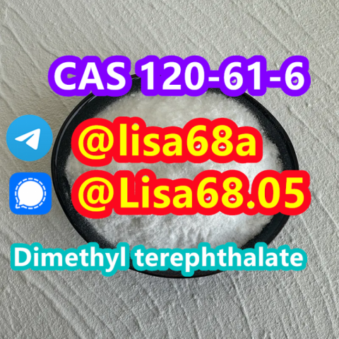 CAS 120-61-6 Dimethyl terephthalate C10H10O4