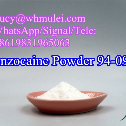 Benzocaine Powder CAS 94-09-7 Local anesthetics China Benzocainum Supplement