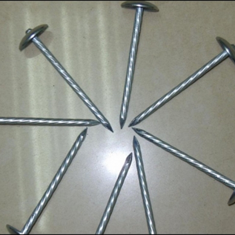 Roofing Nails-Spiral Nail, Umbrella Head Roofing Nail, Smooth Shank, Twisted Shank