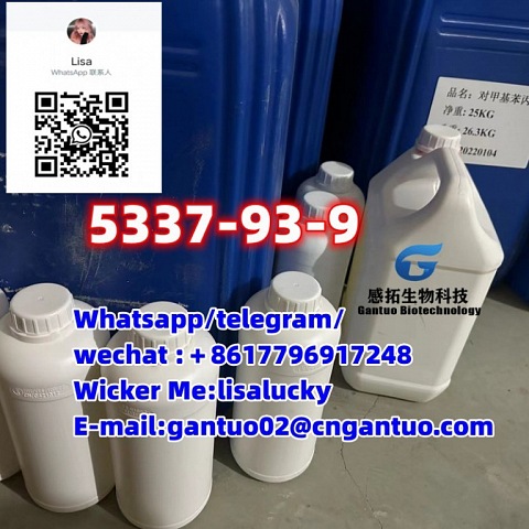 Top quality CAS 5337-93-9 CAS 191790-79-1 4-Methylpropiophenone from China supplier 2114-39-8