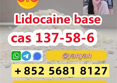 cas 137-58-6 lidocaine powder by nancychemical dhvm0m4 fullview