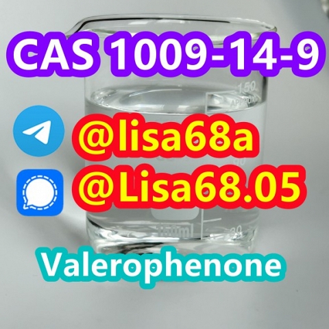 CAS 1009-14-9 Valerophenone C11H14O