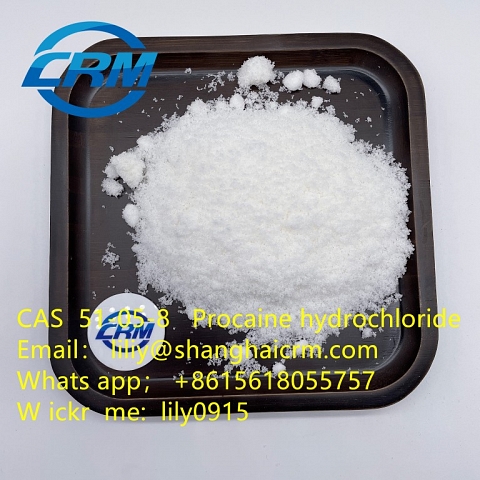 Factory Supply High Quality Procaine Hydrochloride / Procaine HCl CAS 51-05-8