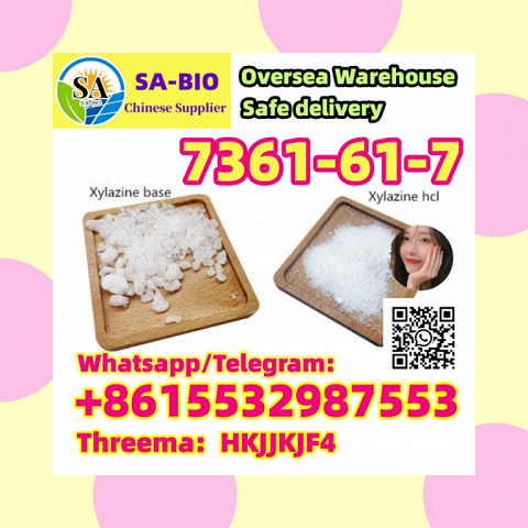 China Sell CAS 7361-61-7 Xylazine with Best Price Whatsapp:+8615532987553