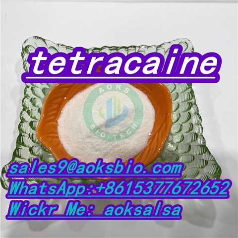 Tetracaine powder cas 94-24-6 tetracaine base tetracaine China factory supply