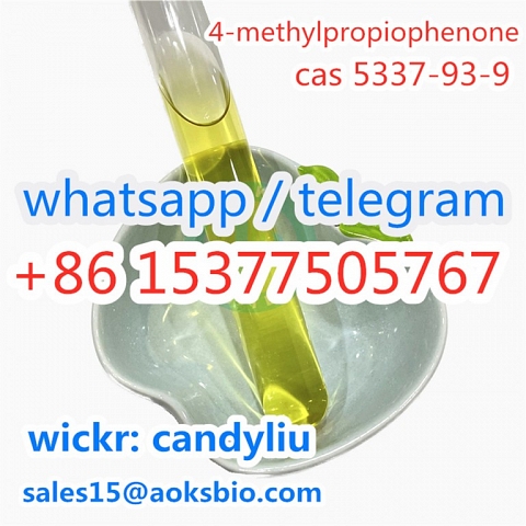 CAS 5337-93-9 China supplier 4-Methylpropiophenone