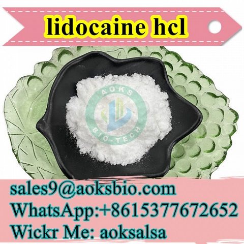 lidocaine hcl powder cas 73-78-9 lidocaine hydrochloride best price lidocaine hcl China supplier