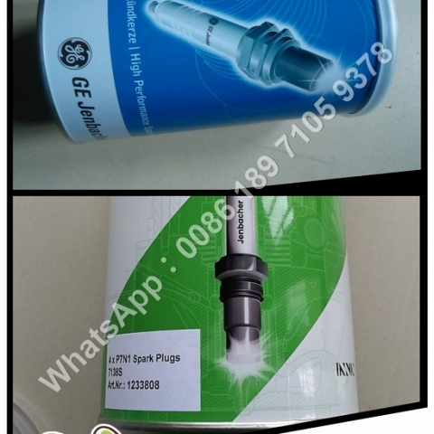 sell Spark plug 1233808/351000/P3 for Jenbacher J320 gas engine