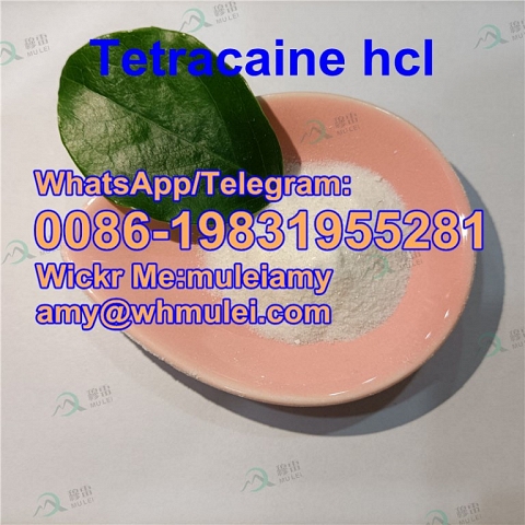 Tetracaine hydrochloride 136-47-0