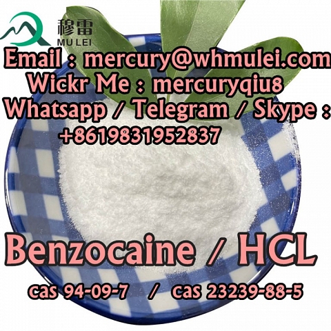  benzocaine purity benzocaine hcl  benzocaine hcl powder  Benzocaine Hydrochloride powder 