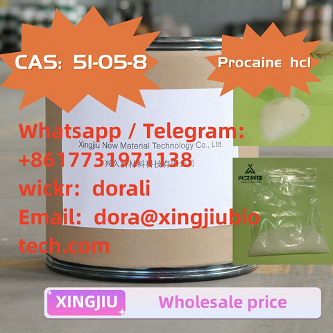 Hot Selling Procaine Hydrochloride / Procaine HCl 51-05-8