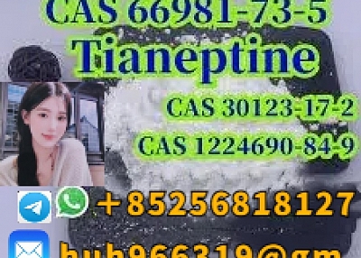 出售CAS66981-73-5 Tianeptine中国供应商