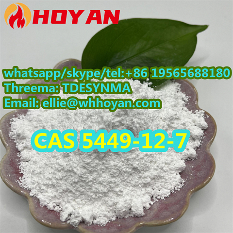 Hot Sale 99% High Purity cas 5449-12-7 BMK glycidic acid(podwer)