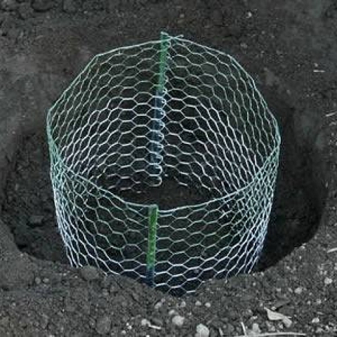 Gopher Control Wire Mesh Protects Lawn and Individual Plant