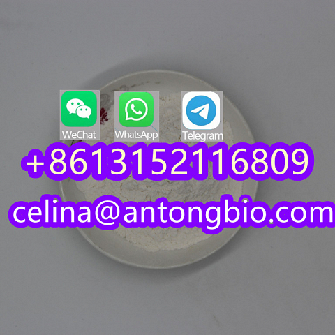 BMK Glycidic Acid (sodium salt) CAS 5449-12-7 BMK powder with 100% Safe Delivery Ca EUChina Factory