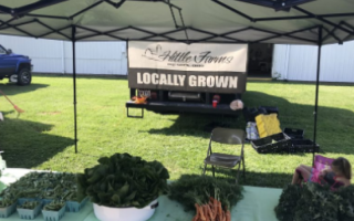 Locally grown, fresh vegetables