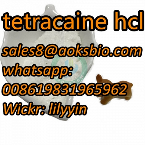 tetracaine,tetracaine base,tetracaine powder,  tetracaine supplier,tetracaine factory