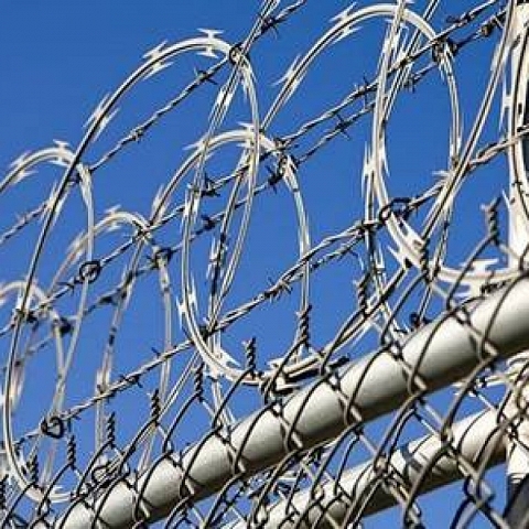 Flat Razor Wire