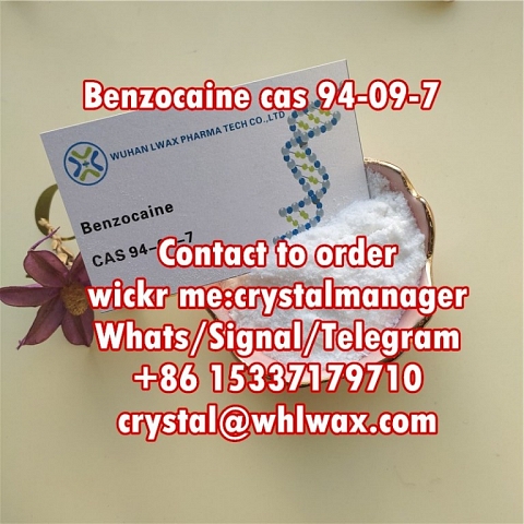 benzocaine powder cas 94-09-7 bulk price in stock