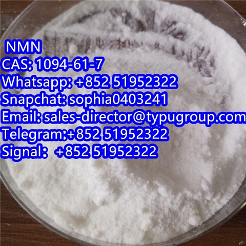  Paracetamol CAS103-90-2