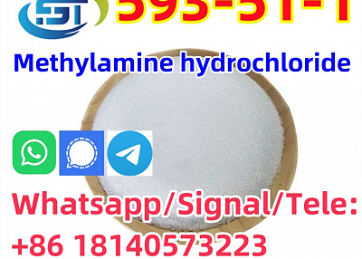 CAS 593-51-1 Methylamine hydrochloride LT-S9151 good price with high qualtiy