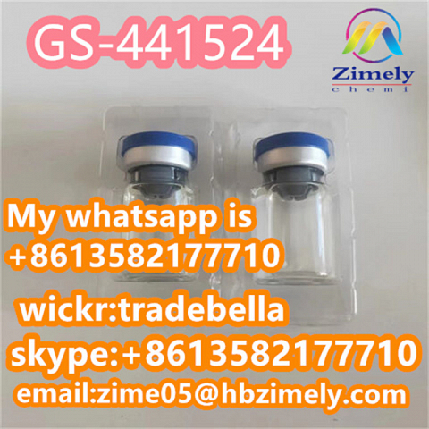 High Quality Medicine GS441 Injection / Fipv GS441 Top Purity for cats with Good Quality