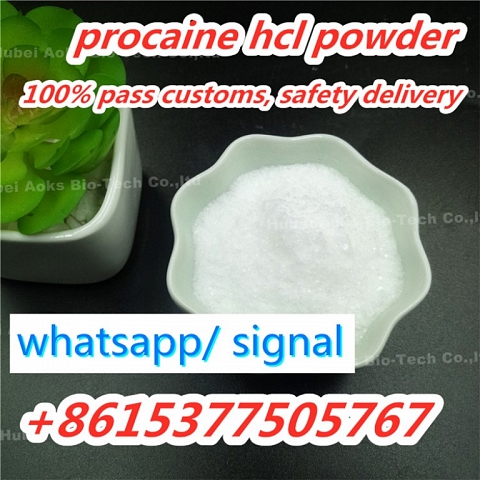 High Quality Procaine hcl Powder cas 51-05-8 Best Price Safe Delivery China Supplier 