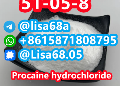 CAS 51-05-8 Procaine hydrochloride C13H21ClN2O2