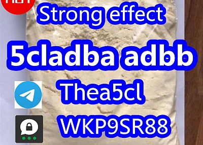 5cladba 5cladb precursor ADBB powder raw materials from China supplier