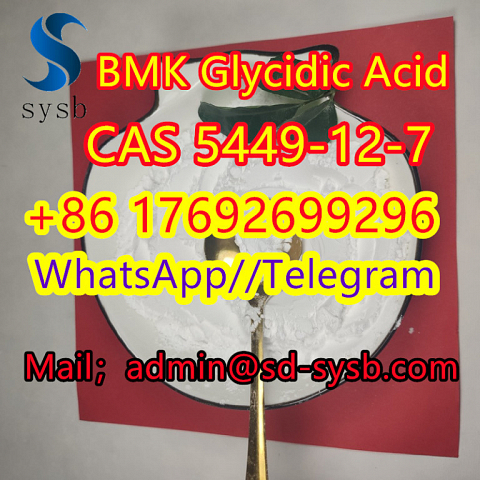 5449-12-7  BMK Glycidic Acid    