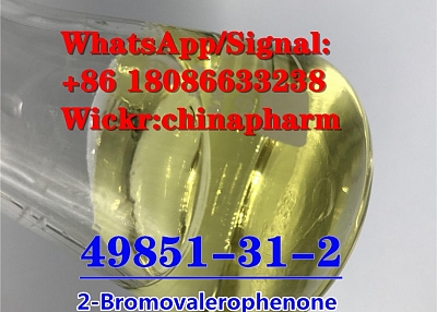 CAS 49851-31-2 2-Bromovalerophenone 1451-82-7 /5337-93-9 China supplier