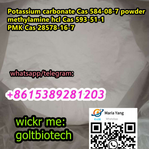 methylamine hcl Cas 593-51-1 powder pmk Cas 28578-16-7 China supplier Wickr:goltbiotech