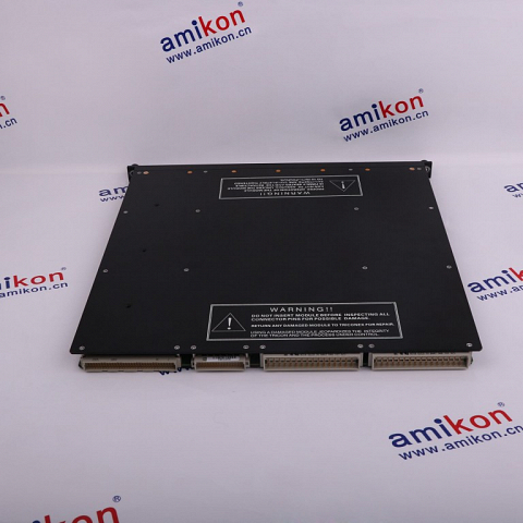 TRICONEX TRICON 8105 I/O empty slot plate