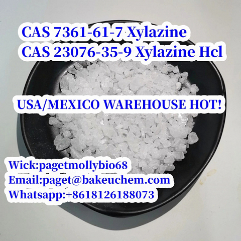 new Batch Chemical raw materials cas 7361-61-7 Xylazine 100% Safe delivery to USA/Mexico!