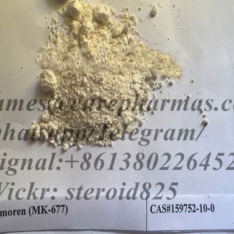 MK-677  Sarms Powder for Muscle Growth CAS 159752-10-0   Ibutamoren 