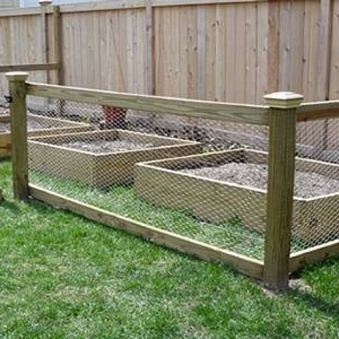 Chicken Wire Mesh Used in Garden as Fence, Raised Bed, Trellis