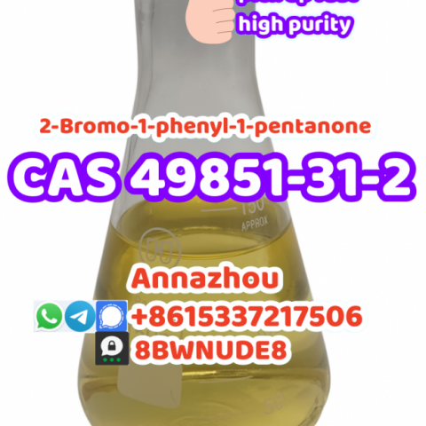 Cas 49851-31-2 2-Bromovalerophenone 100% Arrival RUS KZ