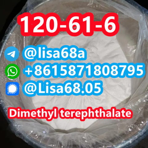 CAS 120-61-6 Dimethyl terephthalate C10H10O4