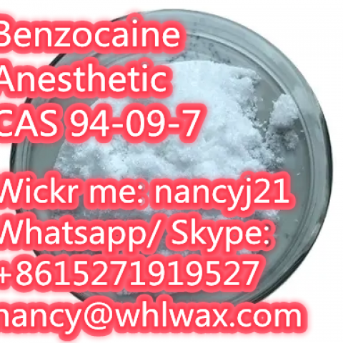 High purity Benzocaine / Anesthetic (local) Powder Pain Killer Powder CAS 94-09-7