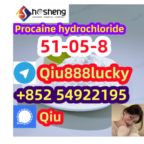 51-05-8 Procaine hydrochloride