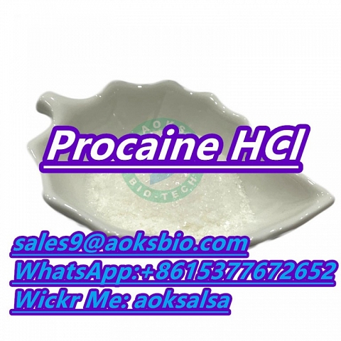 Buy procaine hcl powder cas 51-05-8 procaine hcl 51-05-8 procaine hydrochloride