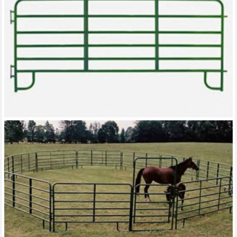 Horse Panels