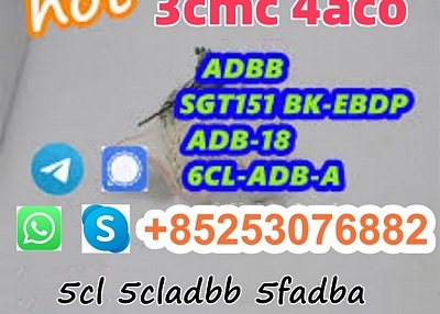 5cl-adb、5-cl-adb-a、5cladba、6cladba、ADBB、ADB-BUTINACA、5CLADBA、6CLADBA